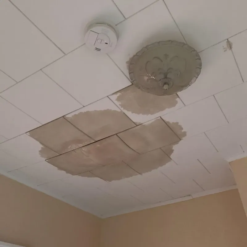 Ceiling Water Damage Repair in Wanamingo, MN